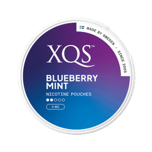 XQS Blueberry Mint 4mg - SNUSIO