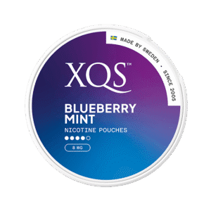 XQS Blueberry Mint Strong 8mg - SNUSIO