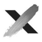 X white